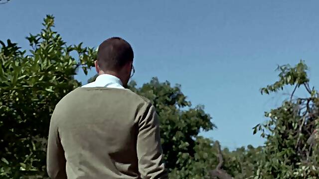 PORNFIDELITY Brandi Love Lives Taboo Fantasy In VR