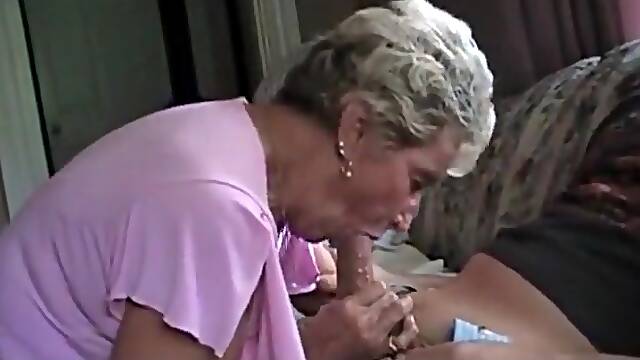 Cougar Champion - Farm. 1